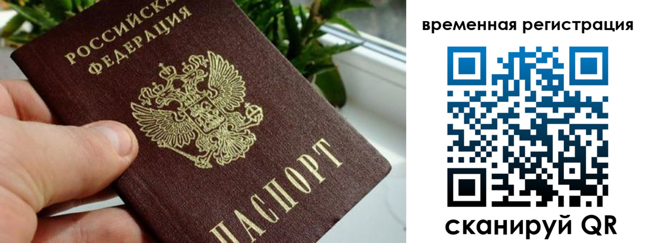 прописка поиск в Карелии